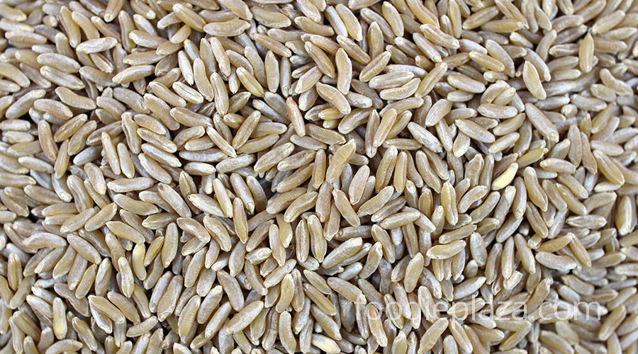 пшеница хорасан Камут.