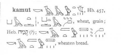 Древнеегипетские иероглифы, обозначающие пшеницу