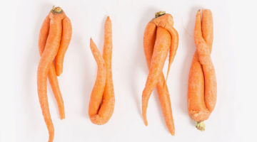 Уродская морковь